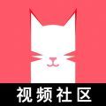 猫咪视频安卓在线观看版 V4.535