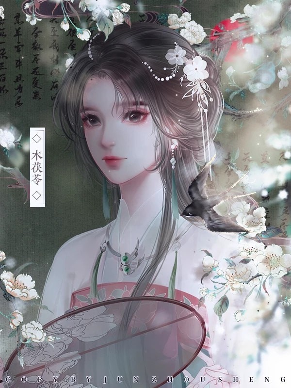 云鬓花颜安卓版 V1.0.0