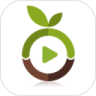 种子看片神器安卓免费版 V1.0