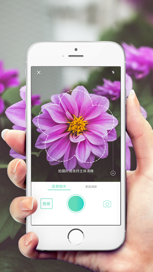 形色植物识别安卓版 V3.14.8