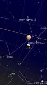 谷歌星空安卓版 V1.9.3