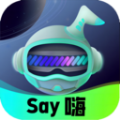 Say嗨元宇宙安卓版 V1.0.2