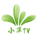 小草TV安卓免费版 V6.8