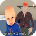 奶奶模拟器安卓百度版 V1.6