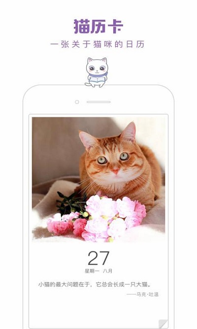 一日猫安卓免费版 V2.4.7