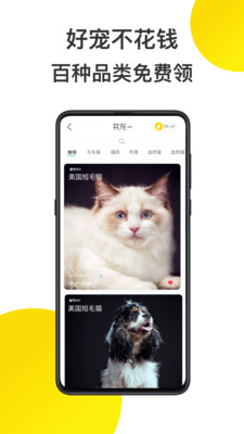 共宠安卓官方版 V1.5.0